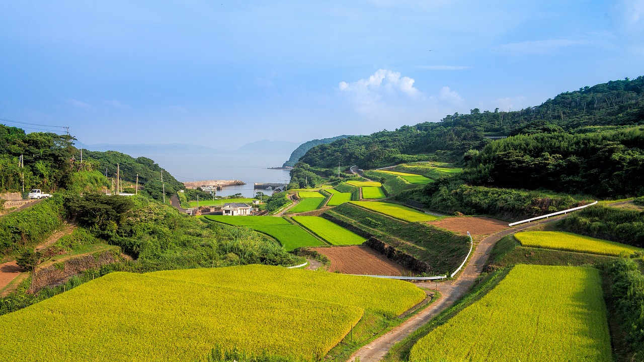 乌蒙山连着山外山是什么歌表达了什么意思?,迅速设计执行方案_露版64.17.28